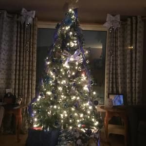 Meet your Posher, Lucy